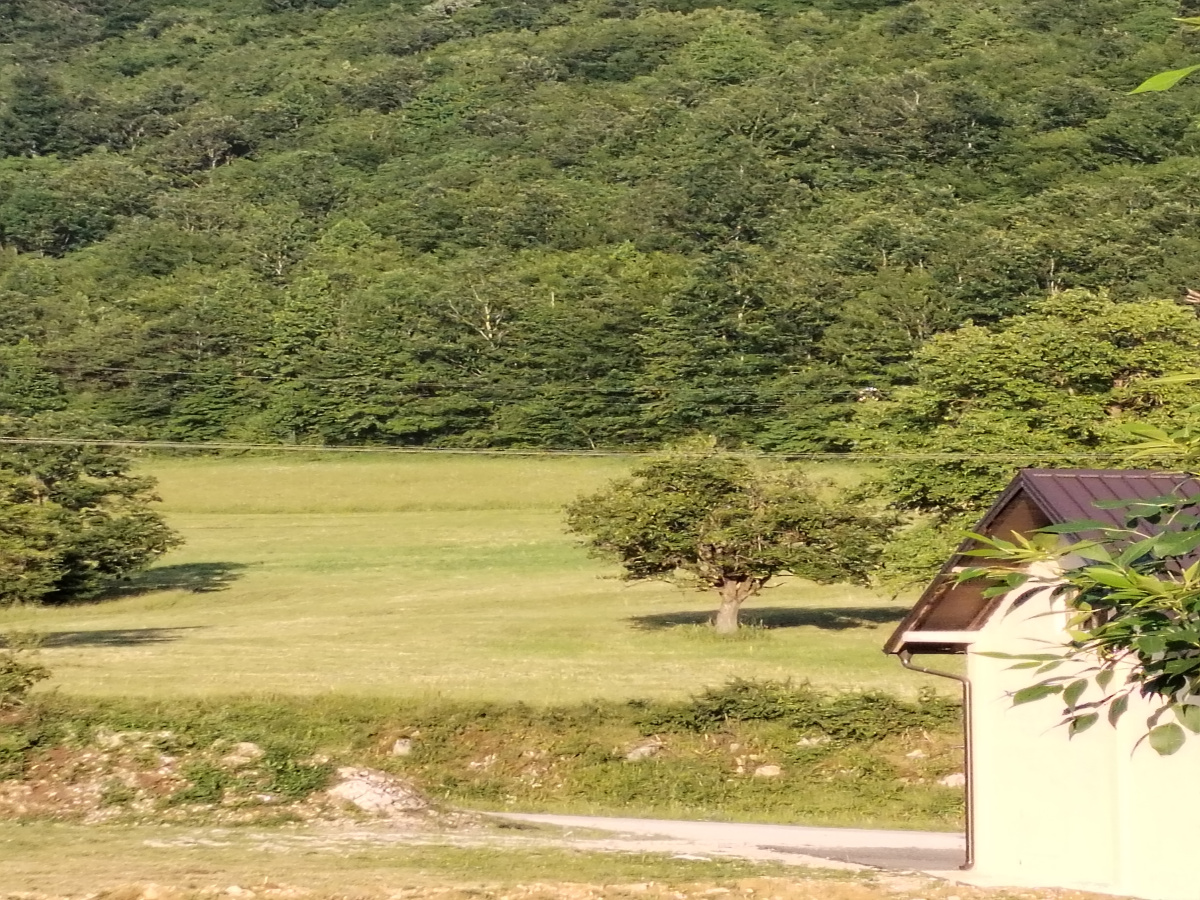 Sušica, Čajetina, Srbija, ,Zemljište,Prodaja - Ponuda,1979