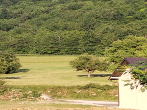 Sušica, Čajetina, Srbija, ,Zemljište,Prodaja - Ponuda,1979