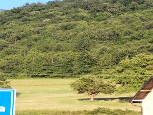 Sušica, Čajetina, Srbija, ,Zemljište,Prodaja - Ponuda,1979