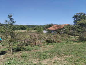 Tvrdići, Požega, Srbija, ,Zemljište,Prodaja - Ponuda,1982