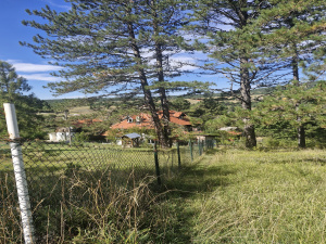 Kremna, Užice, Srbija, ,Zemljište,Prodaja - Ponuda,1984
