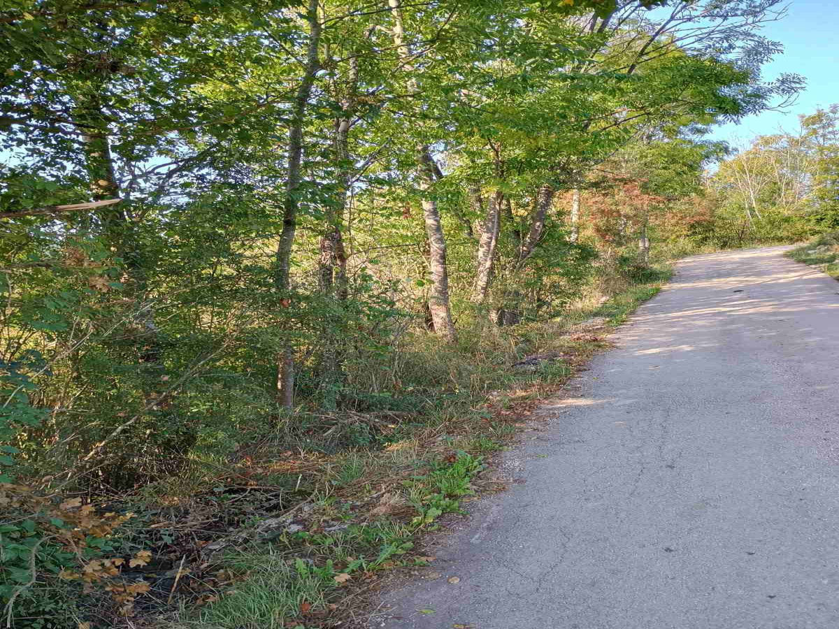 Mačkat, Užice, Srbija, ,Zemljište,Prodaja - Ponuda,1985