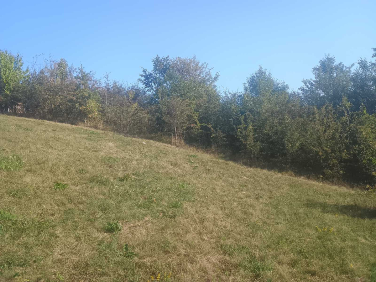 Mačkat, Užice, Srbija, ,Zemljište,Prodaja - Ponuda,1985