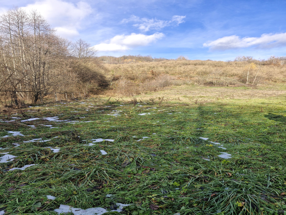 Volujac, Užice, Srbija, ,Zemljište,Prodaja - Ponuda,1987