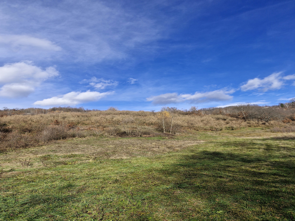 Volujac, Užice, Srbija, ,Zemljište,Prodaja - Ponuda,1987