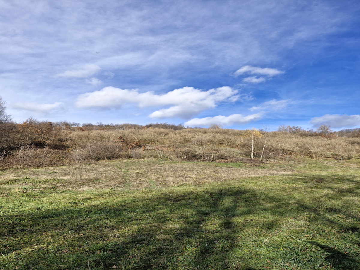 Volujac, Užice, Srbija, ,Zemljište,Prodaja - Ponuda,1987