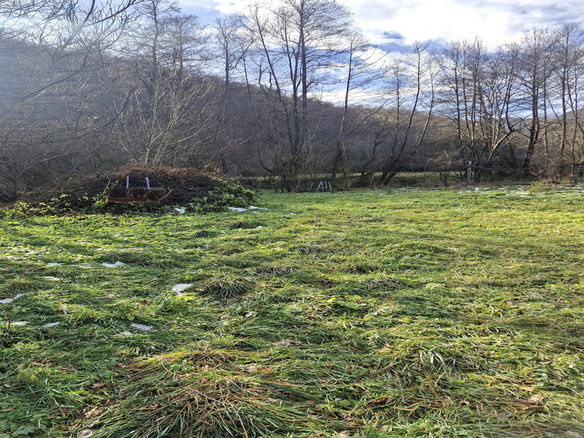 Volujac, Užice, Srbija, ,Zemljište,Prodaja - Ponuda,1987