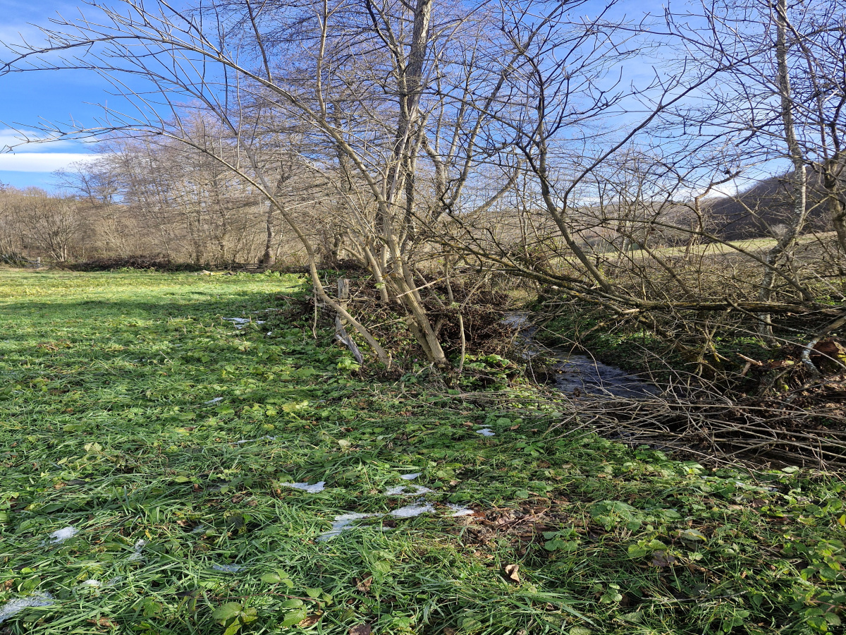 Volujac, Užice, Srbija, ,Zemljište,Prodaja - Ponuda,1987