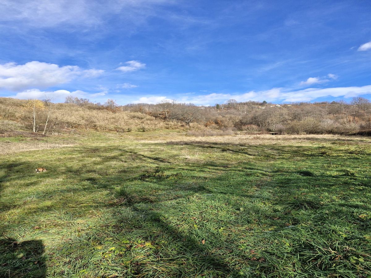 Volujac, Užice, Srbija, ,Zemljište,Prodaja - Ponuda,1987