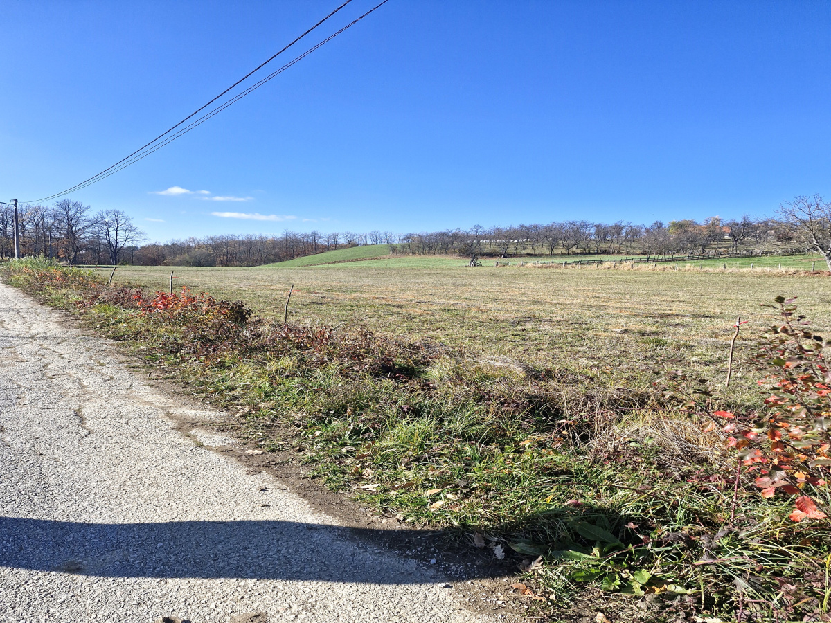 Bela Zemlja, Kačer, Užice, Srbija, ,Zemljište,Prodaja - Ponuda,1997
