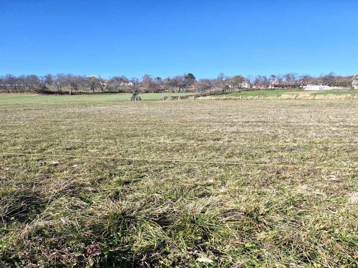 Bela Zemlja, Kačer, Užice, Srbija, ,Zemljište,Prodaja - Ponuda,1997