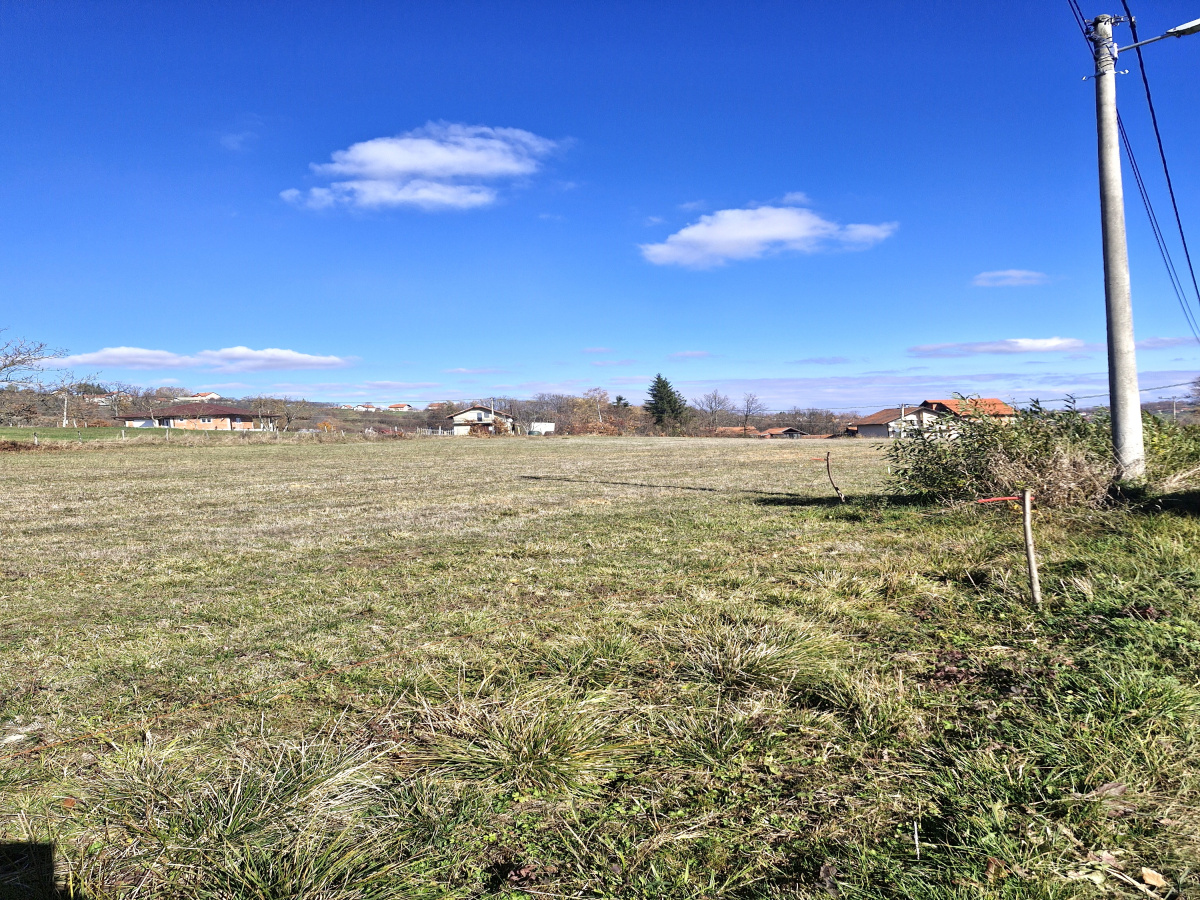 Bela Zemlja, Kačer, Užice, Srbija, ,Zemljište,Prodaja - Ponuda,1997