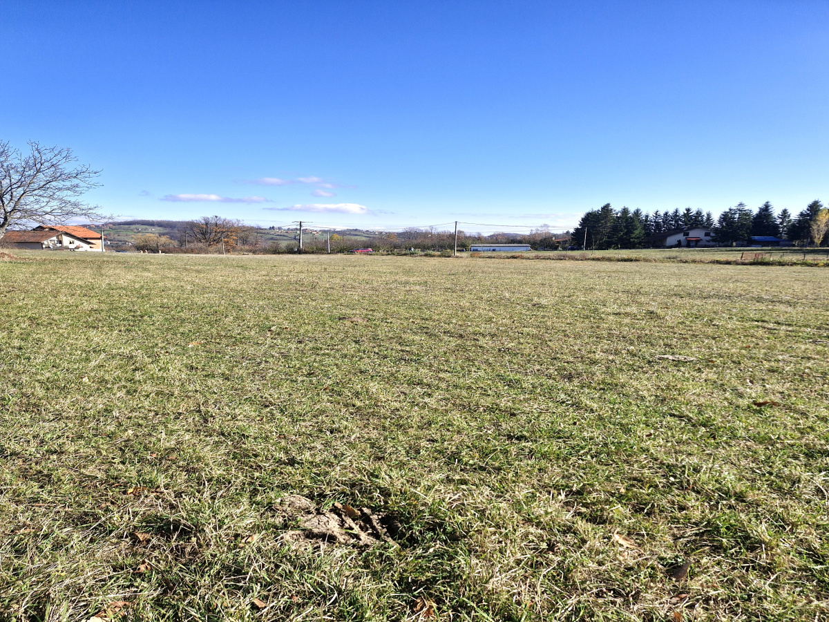 Bela Zemlja, Kačer, Užice, Srbija, ,Zemljište,Prodaja - Ponuda,1997