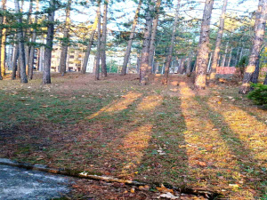 Zlatibor, Srbija, ,Zemljište,Prodaja - Ponuda,2011