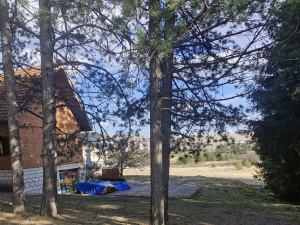 Zlatibor, Srbija, ,Zemljište,Prodaja - Ponuda,2011