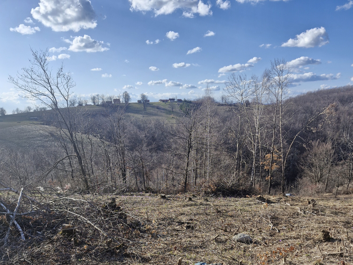 Prote Simića, Zlatibor, Srbija, ,Zemljište,Prodaja - Ponuda,2013