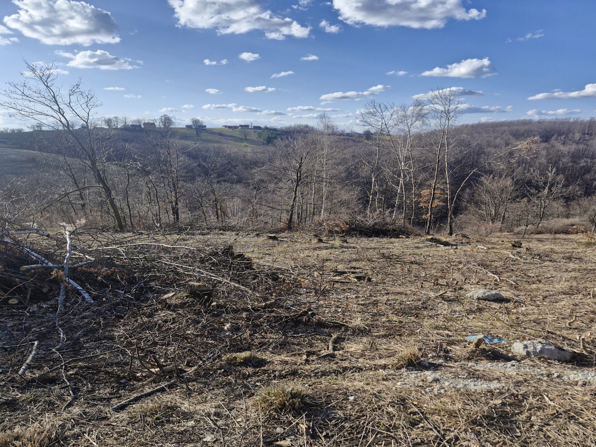 Prote Simića, Zlatibor, Srbija, ,Zemljište,Prodaja - Ponuda,2013