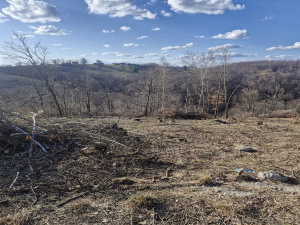 Prote Simića, Zlatibor, Srbija, ,Zemljište,Prodaja - Ponuda,2013