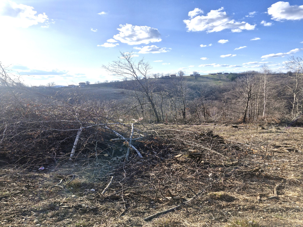 Prote Simića, Zlatibor, Srbija, ,Zemljište,Prodaja - Ponuda,2013
