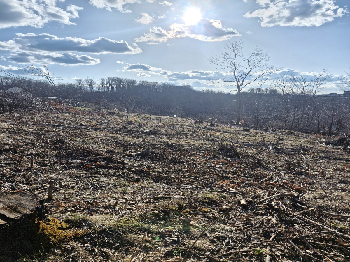 Prote Simića, Zlatibor, Srbija, ,Zemljište,Prodaja - Ponuda,2013