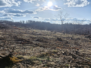 Prote Simića, Zlatibor, Srbija, ,Zemljište,Prodaja - Ponuda,2013