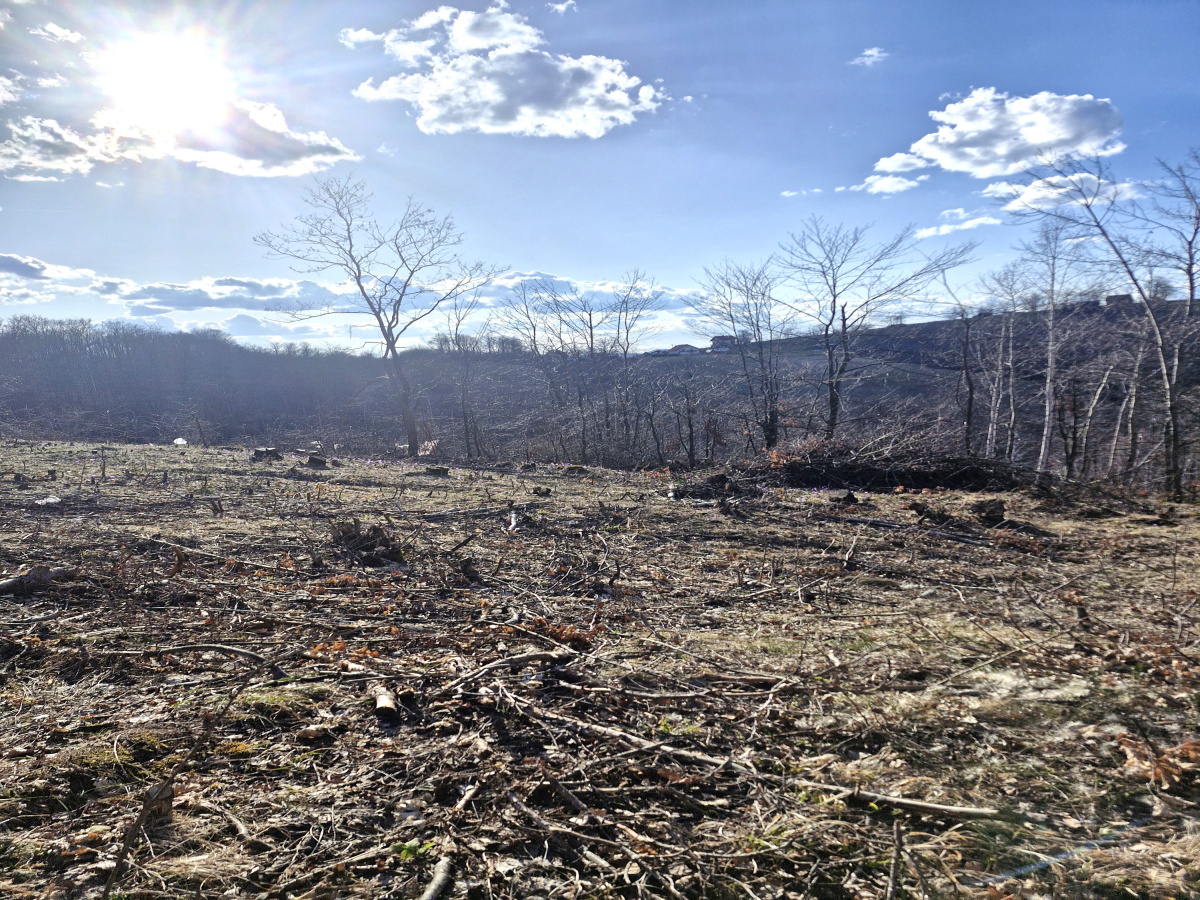 Prote Simića, Zlatibor, Srbija, ,Zemljište,Prodaja - Ponuda,2013