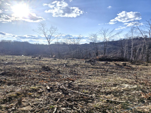 Prote Simića, Zlatibor, Srbija, ,Zemljište,Prodaja - Ponuda,2013