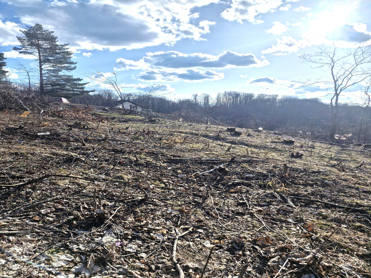Prote Simića, Zlatibor, Srbija, ,Zemljište,Prodaja - Ponuda,2013