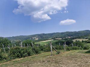 Trnava, Užice, Srbija, ,Kuća,Prodaja - Ponuda,1,2037