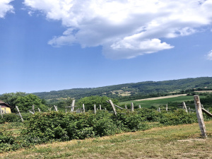 Trnava, Užice, Srbija, ,Kuća,Prodaja - Ponuda,1,2037