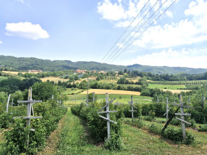 Trnava, Užice, Srbija, ,Kuća,Prodaja - Ponuda,1,2037