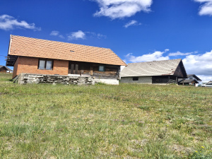 Srbija, Zlatibor, Srbija, ,Kuća,Prodaja - Ponuda,2043