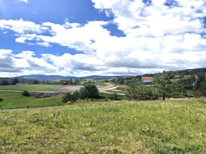Srbija, Zlatibor, Srbija, ,Kuća,Prodaja - Ponuda,2043
