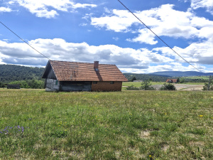 Srbija, Zlatibor, Srbija, ,Kuća,Prodaja - Ponuda,2043