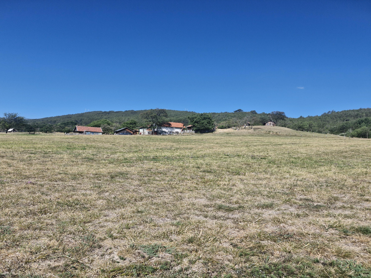 Kremna, Užice, Srbija, ,Zemljište,Prodaja - Ponuda,2183