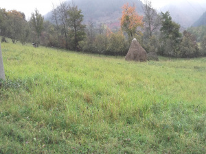 Zemljište, Prodaja - Ponuda, Listing ID 1252, Mokra gora, Užice, Srbija,