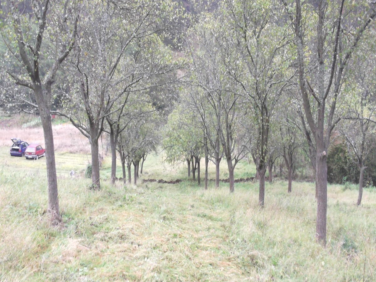 Zemljište, Prodaja - Ponuda, Listing ID 1252, Mokra gora, Užice, Srbija,