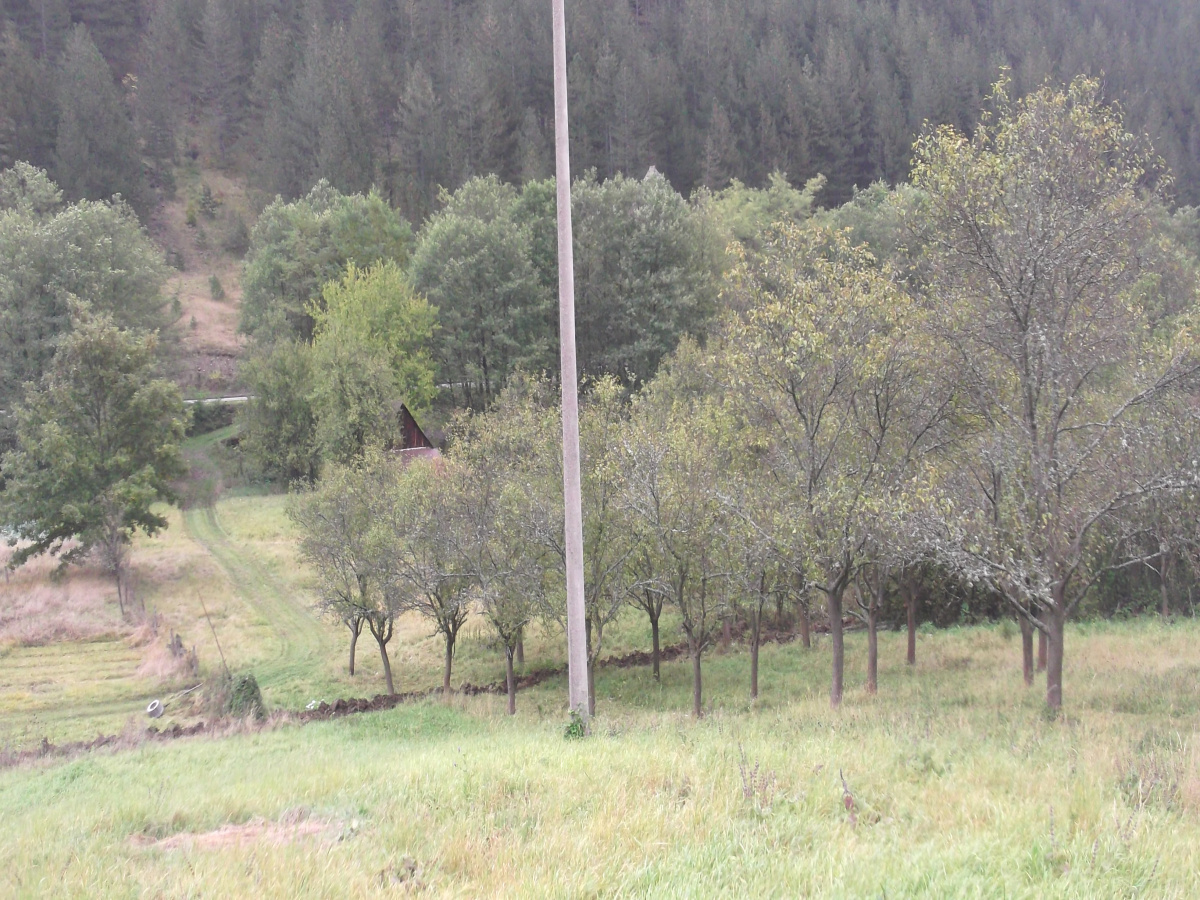 Zemljište, Prodaja - Ponuda, Listing ID 1252, Mokra gora, Užice, Srbija,