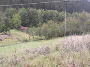 Zemljište, Prodaja - Ponuda, Listing ID 1252, Mokra gora, Užice, Srbija,