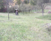Zemljište, Prodaja - Ponuda, Listing ID 1252, Mokra gora, Užice, Srbija,