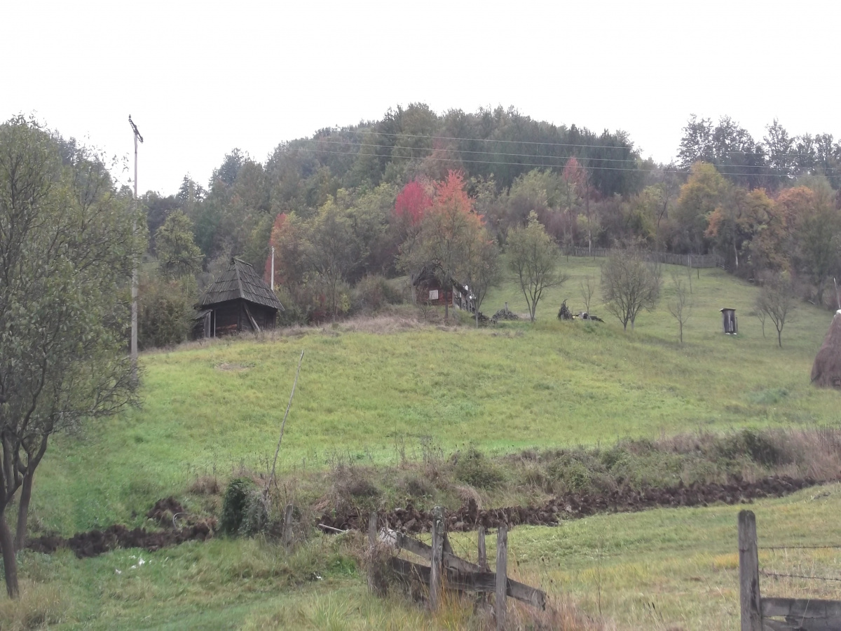 Zemljište, Prodaja - Ponuda, Listing ID 1252, Mokra gora, Užice, Srbija,