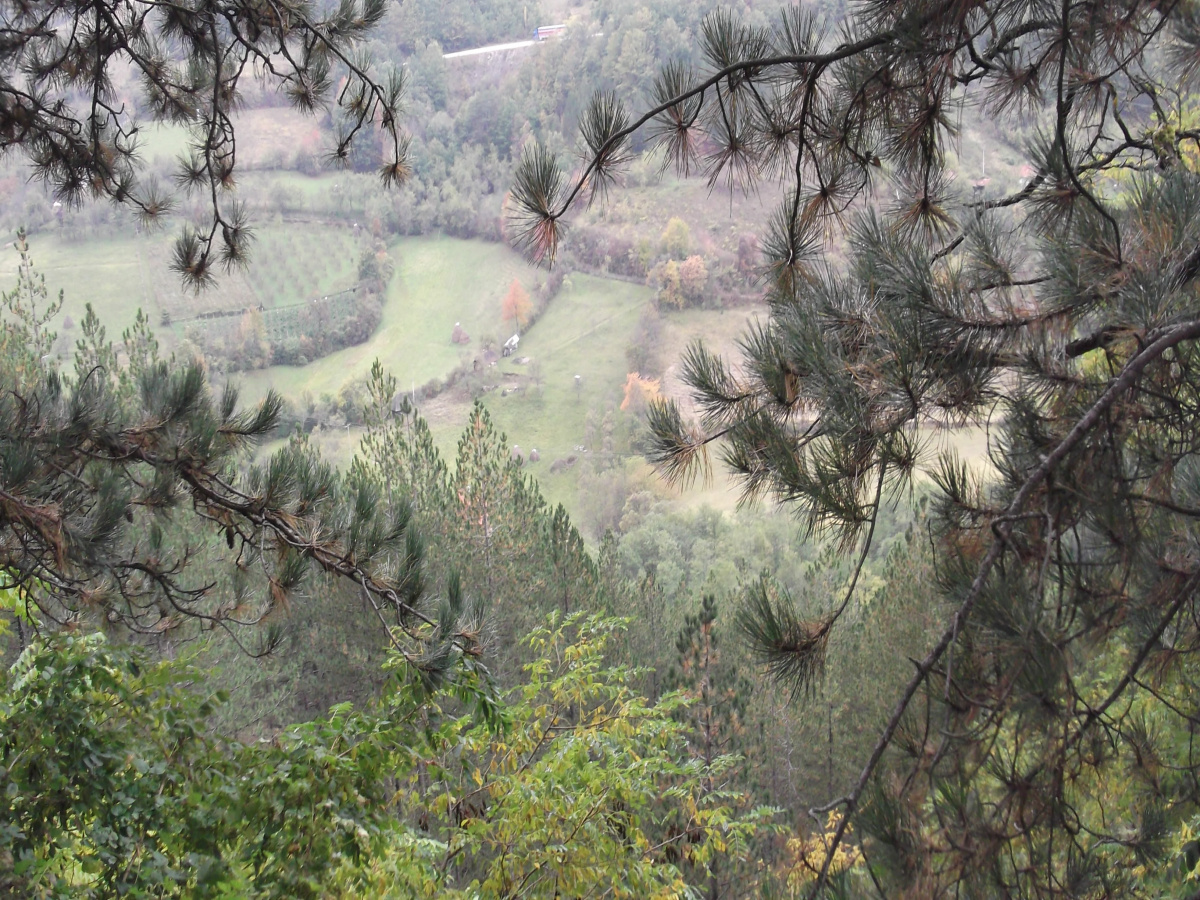 Zemljište, Prodaja - Ponuda, Listing ID 1252, Mokra gora, Užice, Srbija,