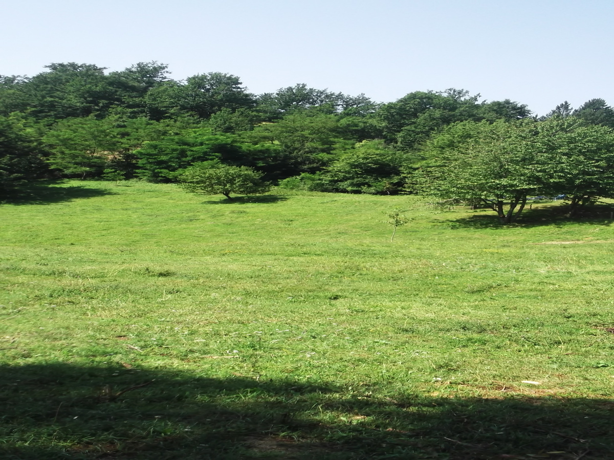 Zemljište, Prodaja - Ponuda, Listing ID 1325, Mokra gora, Užice, Srbija,