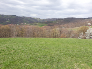 Zemljište, Prodaja - Ponuda, Listing ID 1367, Buar, Užice, Srbija,