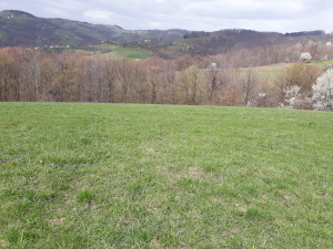 Zemljište, Prodaja - Ponuda, Listing ID 1367, Buar, Užice, Srbija,