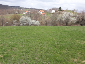 Zemljište, Prodaja - Ponuda, Listing ID 1367, Buar, Užice, Srbija,