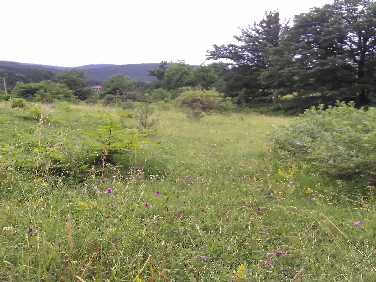 Zemljište, Prodaja - Ponuda, Listing ID 1493, Sargan, Kremna, Srbija,