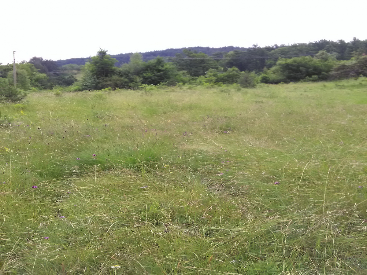 Zemljište, Prodaja - Ponuda, Listing ID 1493, Sargan, Kremna, Srbija,