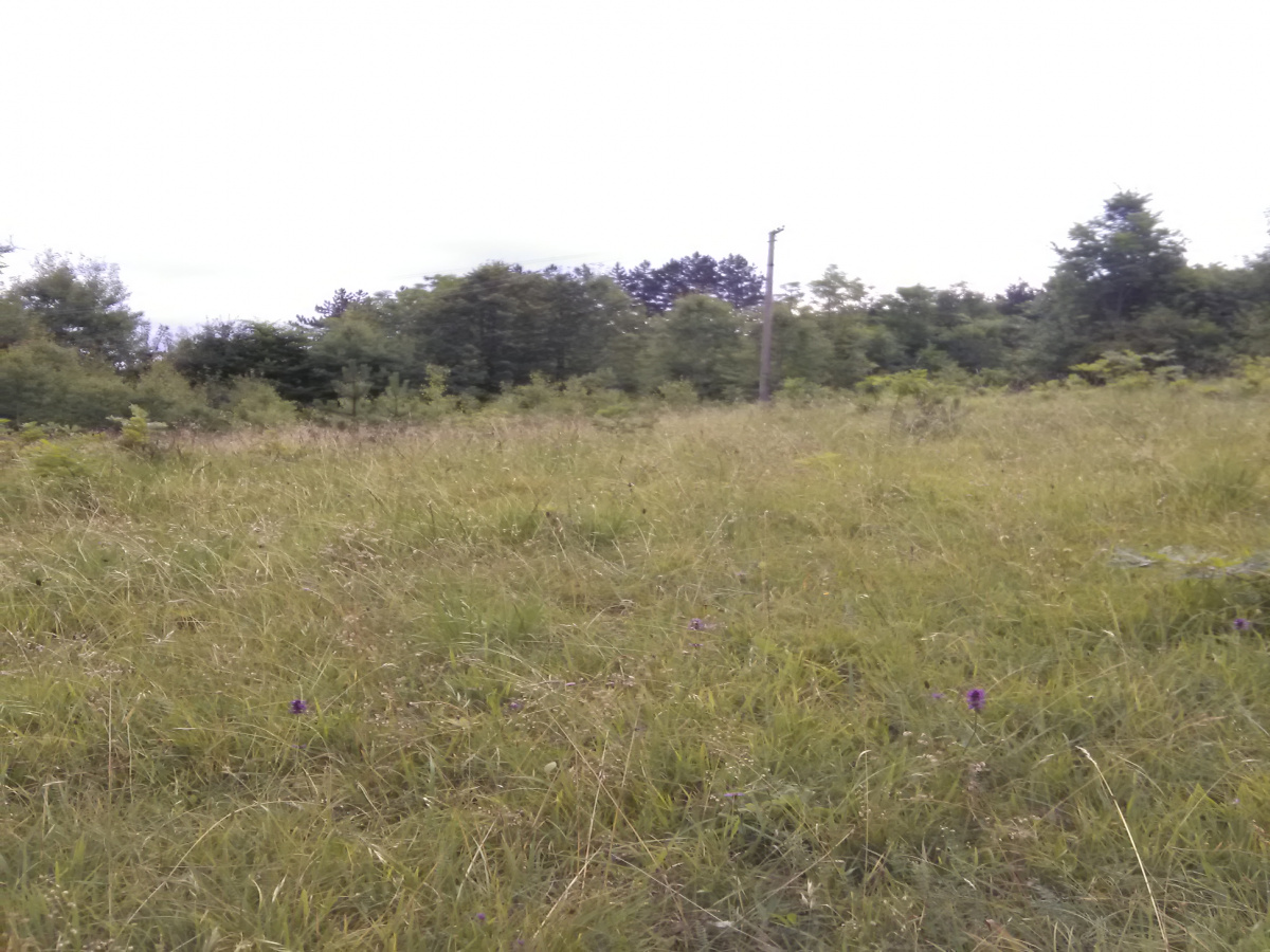 Zemljište, Prodaja - Ponuda, Listing ID 1493, Sargan, Kremna, Srbija,