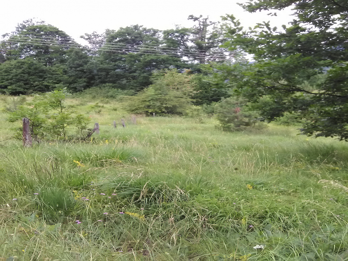 Zemljište, Prodaja - Ponuda, Listing ID 1493, Sargan, Kremna, Srbija,